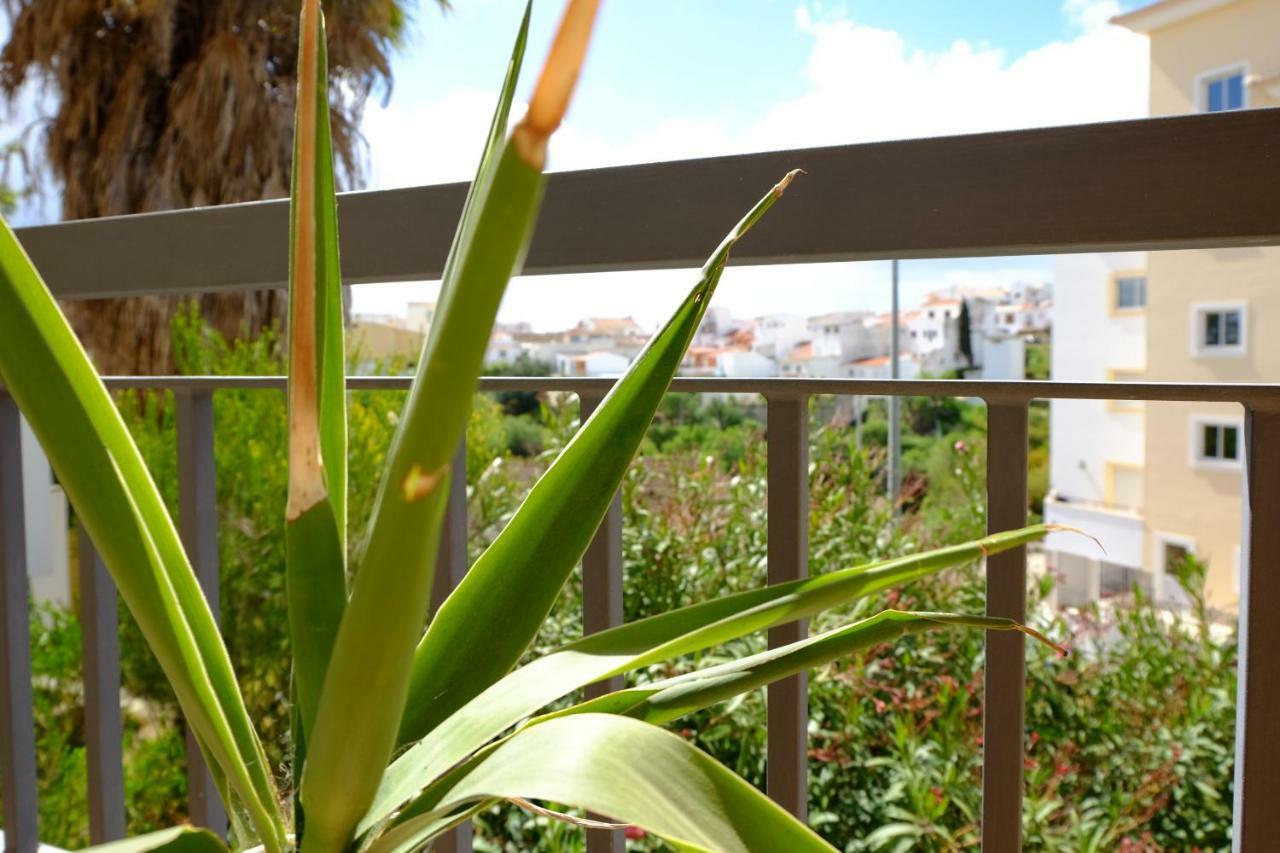 Algarve Surf -